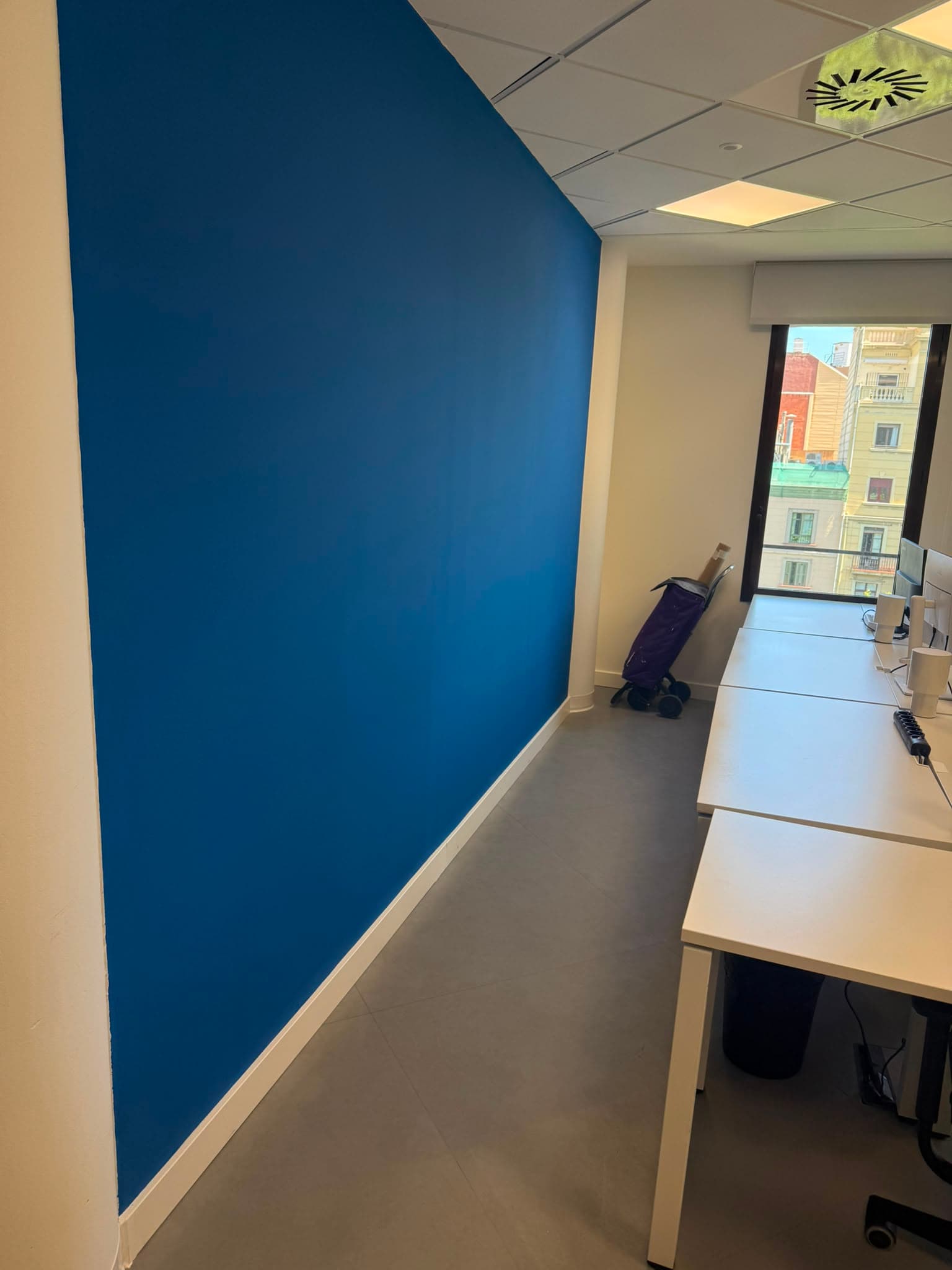 La misma pared de oficina terminada en azul corporativo con corte limpio